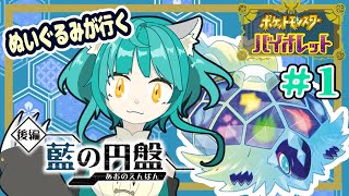 【ポケモン バイオレット】ぬいぐるみブルーベリー学園へ行く！！【藍の円盤】