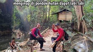 3 Days 2 Nights Fishing in the Upper Reaches of the Kalimantan River, Caught a Super Large Softsh...