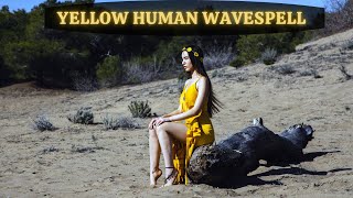 YELLOW HUMAN WAVESPELL | KINS 92 ~ 104 | AUGUST 18 - 30 2022 ~ Mayan Tzolkin Calendar
