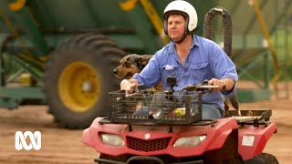 Ability Agriculture – A place on the farm for everyone | Landline | ABC Australia