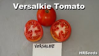 Versalkie Tomato Solanum lycopersicum Tomato Review