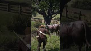RDR2 Bulls Don't Play 💀 #RDR2 #RedDeadRedemption2 #GamingFails #ArthurMorgan #GamingFunny #RDR2Memes