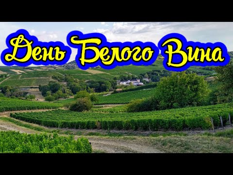 Международный день белого вина «Совиньон Блан» (International Sauvignon Blanc Day)