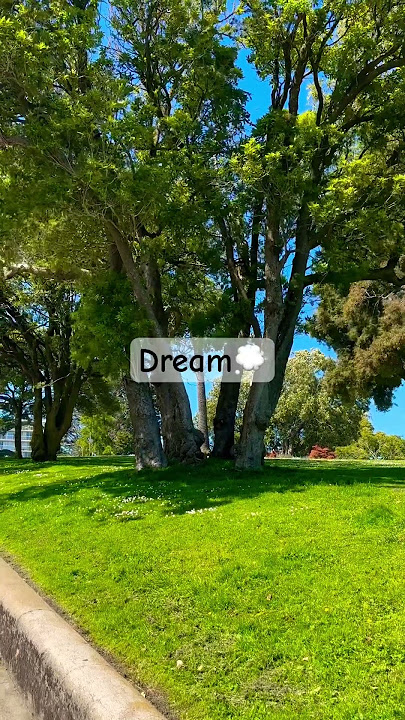 Hannah Montana Dream lyrics 💭#dream #lyrics #music #disney #pop #nature #shorts #short #city