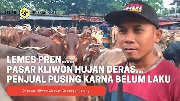Pasar sapi hari ini hujan APA JADINYA JIKA PASAR SAPI HUJAN ❓❓