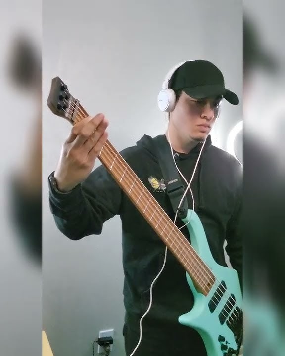 Avenged Sevenfold - Beast and the Harlot | Short Bass Cover