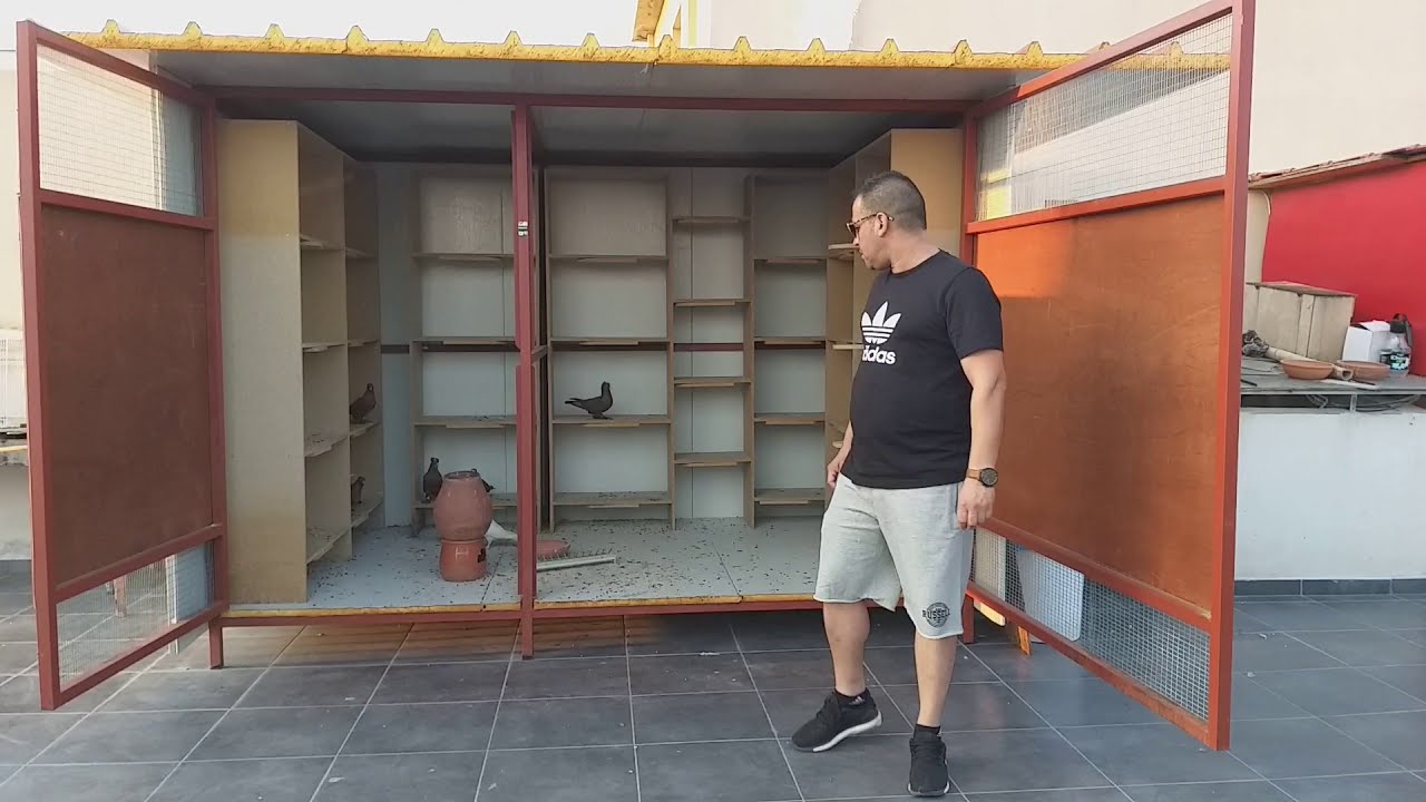 طيور الحمر في اليونان معا ديوانيه علي اثينا 3