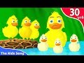 เพลง เด็ก เพลงเป็ดอาบน้ำ สุขใจ | รวมเพลงเด็กฟัง | เป็ด ก้าบ ก้าบ |Thai Duck Song