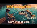 Real VR Fishing - How to catch the Giant Striped Bass