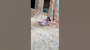 Pigeon trap - beautiful pigeon trap easy homemade#shorts