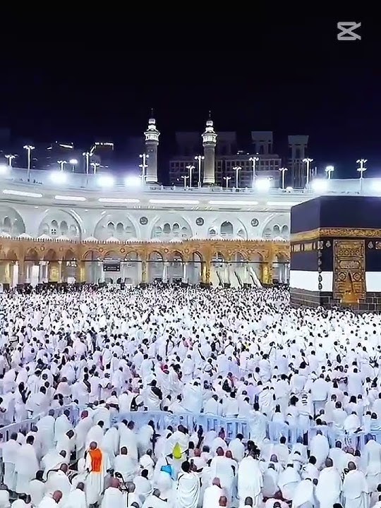 #duet #edit #100kvews #world #pawarholakhalidhobijatimere #top #viwes10milionplace #viralvideo