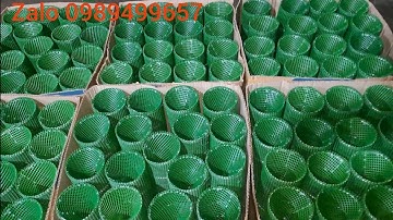 Giao  Lô Lộp Chuyên Đặt Tép Cá Bóng Dừa Mini Giá Rẻ