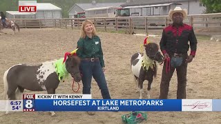 Kenny couldn't be happier surrounded by horses at Lake Metroparks Horsefest