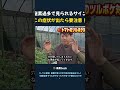 窒素過多で見られるサイン この症状が出たら要注意!