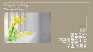 구근식물심기/원예수업/원예치료/원예활동/복지원예사
