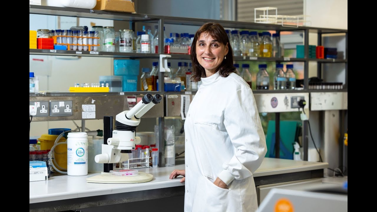 Fighting Blindness: Current research at Trinity College Dublin