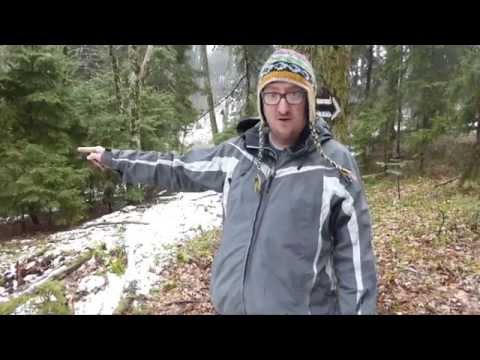 Borjomi-Kharagauli National Park Hike Borjomi-Kharagauli National Park Hike