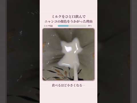 ミルクをひと口飲んで ニャンコの顔色をうかがった理由 thumbnail