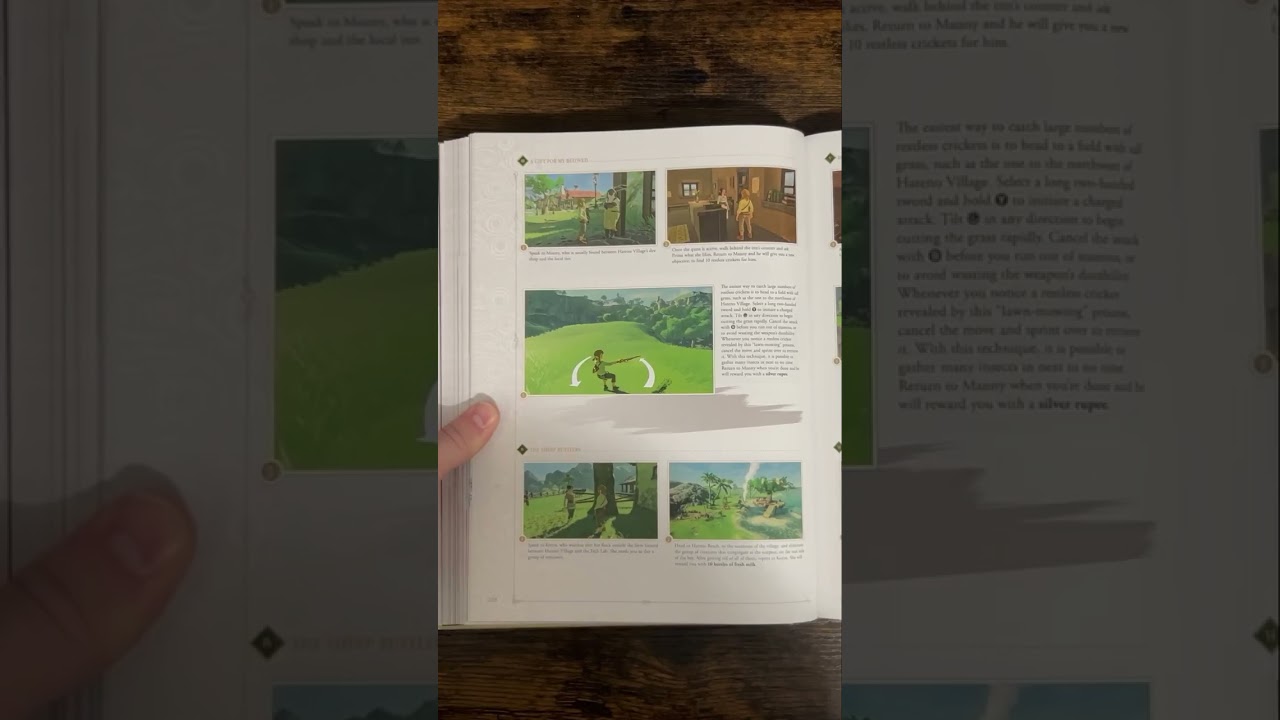TLOZ: BOTW Official Game Guide Expanded Edition 