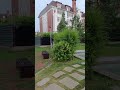 Красивый парк! #shortsvideo #shorts # паркжетису #park #астана #отдых # туризм #милыйдом #рецепты