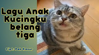 Download lagu Lagu anak-kucingku belang tiga