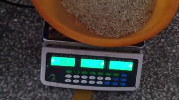 Loynds Single Head Linear Weigher test video