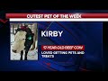 Cutest pet of the week: Kirby