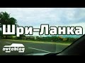 Поездка по Шри-Ланке