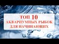 ТОП 10 НЕПРИХОТЛИВЫЕ АКВАРИУМНЫЕ РЫБКИ для НАЧИНАЮЩИХ