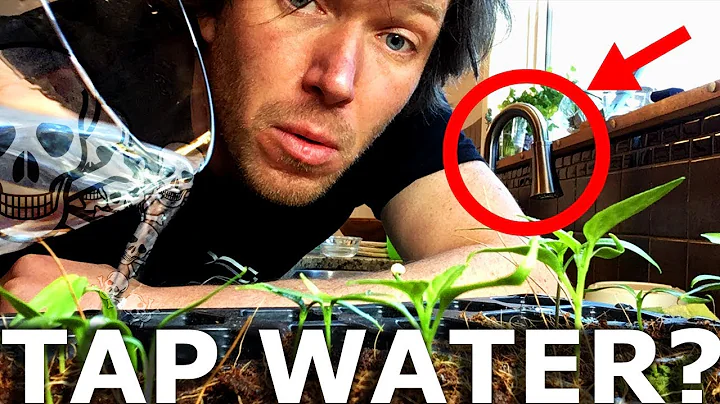 Is Tap Water Safe For Hydroponics???