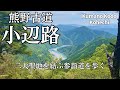 【熊野古道・小辺路】高野山と熊野本宮・二大聖地を結ぶ参詣道を歩く | Kumano Kodo, Kohechi