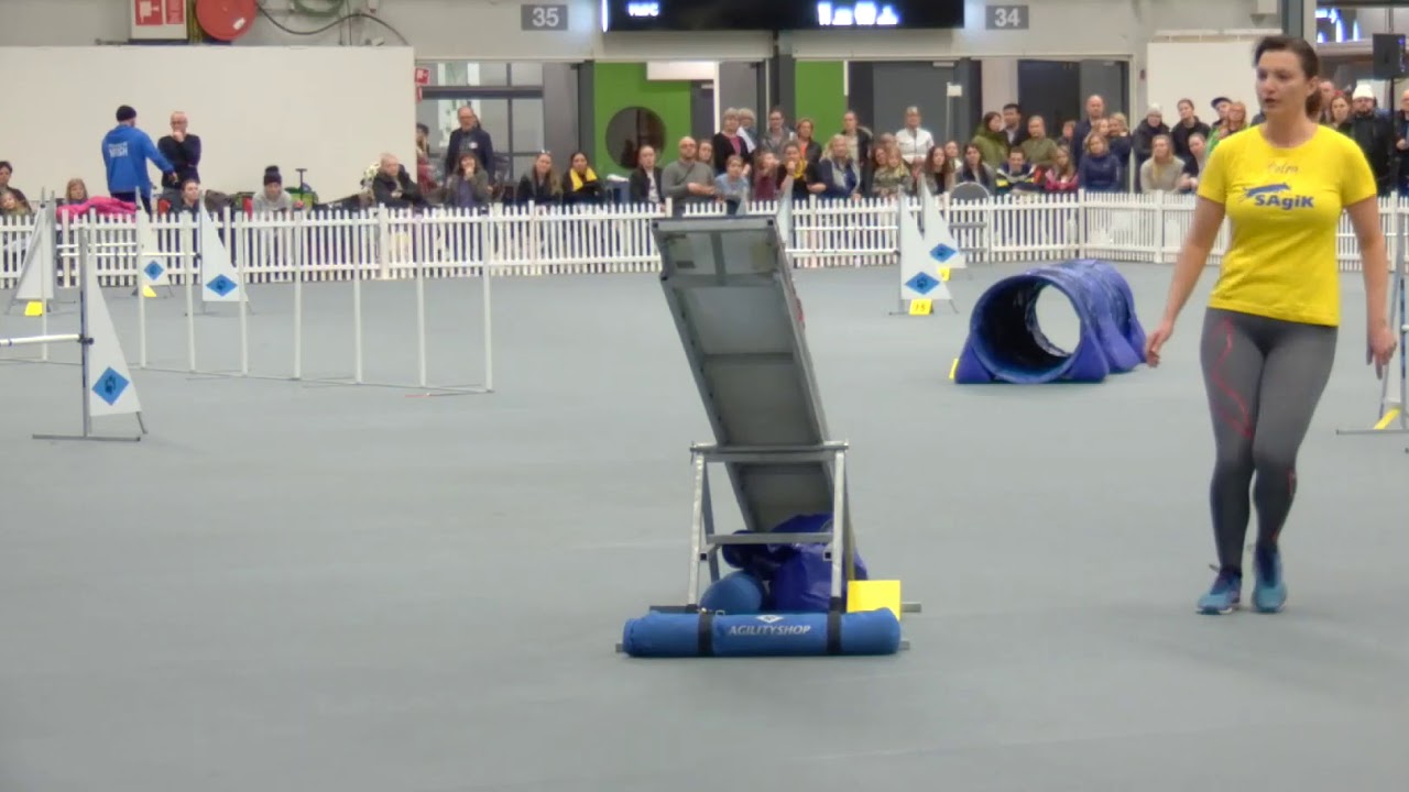 Royal Canin Agility Cup 2017 finals Large