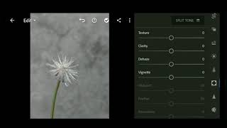 Lightroom Se Photo Edit Kase Kare screenshot 2