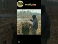 part 2 #naturalshelter #camping #primitiveshelter #survival #junglelife #bamboo #offgridlife #camp #