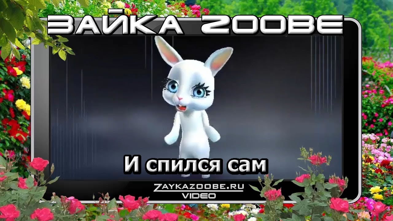 Зайка Zoobe. И спился сам