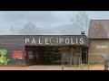 Palopolis 2022  parcours complet  ns digital consulting