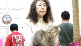 Gp Hoobee Donut In Yaekos Ring 20 Mar 2011