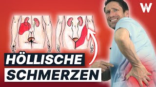 Nierensteine & Koliken stoppen: Typische Ursachen und 5 Tipps für Deine Nierengesundheit by DoktorWeigl 9,732 views 2 weeks ago 14 minutes, 29 seconds