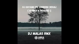 DJ MALAS RMX  SLOWED & REVERB (360P ) TIK TOK
