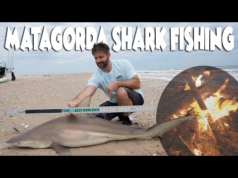 Matagorda Beach Shark Fishing Solo | Texas Shark Rodeo (Day 1 of 2)