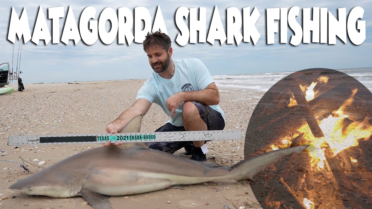 Matagorda Beach Shark Fishing Solo  Texas Shark Rodeo (Day 1 of 2) 