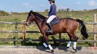 Barney flatwork