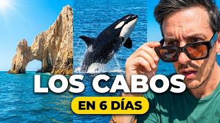 🌵 LOS CABOS IN 6 DAYS 🇲🇽 | Complete Itinerary