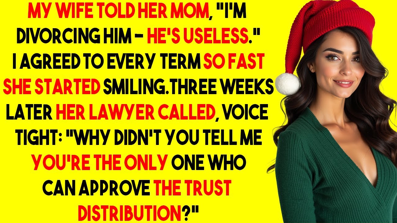 Она назвала меня бесполезным в переговорах о разводе — я быстро согласился. Несколько недель спус...