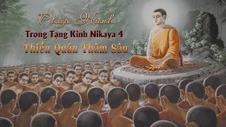 Pháp Hành Trong Tạng Kinh NIKAYA 4 – Thiền Quán Thâm Sâu ĐẶC BIỆT ! - ĐĐ Thích Minh Thành