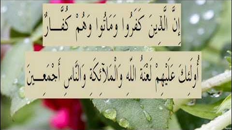القران الكريم سورة البقرة الاية 161
