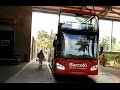 Barceló Maya ônibus!Transportation Guest Service Autobús Colonial, Tropical, Beach Riviera Maia Mex