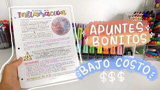 APUNTES CON MATERIALES ECONÓMICOS✨