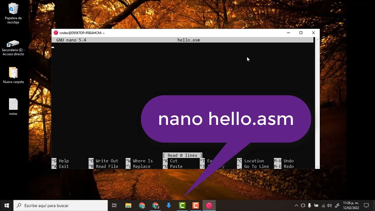 Instalar NASM y ejecutar hola mundo | Ensamblador x86_64 linux | Parte 1 HD