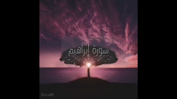 سورة : إبراهيم القارئ : صلاح بوخاطر